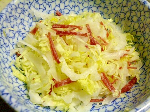 簡単！ヘルシーおつまみ！白菜とサラミの洋風サラダ